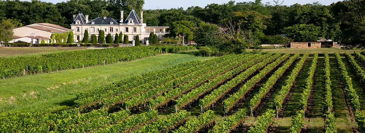 Chateau Meyre Avensan Екстериор снимка